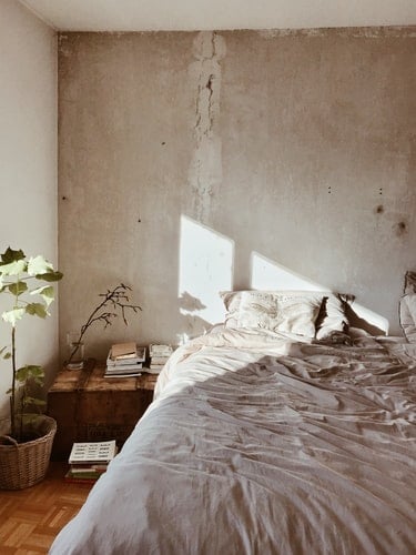 A bed and nightstand with a plant.