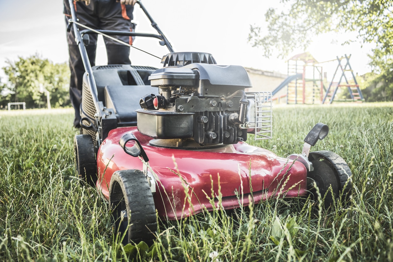 grass level view of a lawnmower being used to mow a lawn. It is facing towards the photographer and is being pushed by a male. 