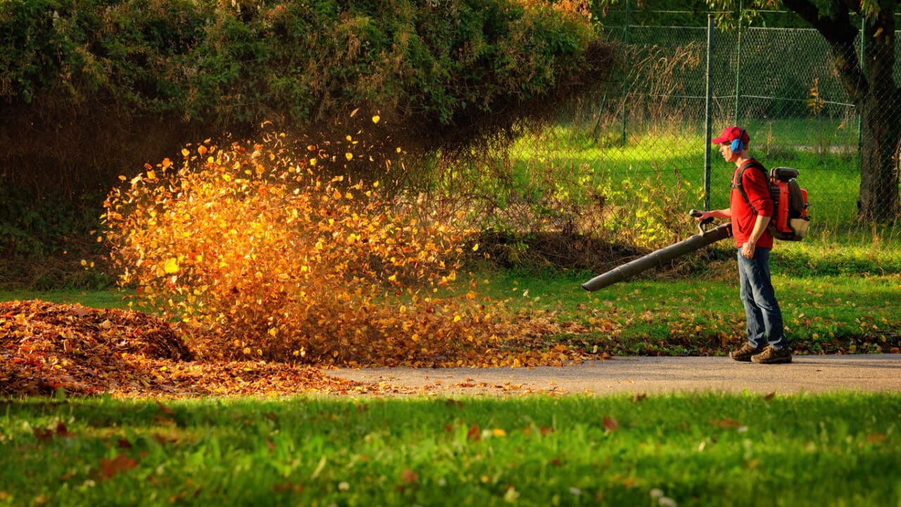 Man uses leaf blower