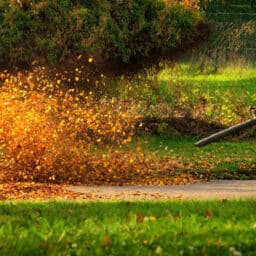 Man uses leaf blower