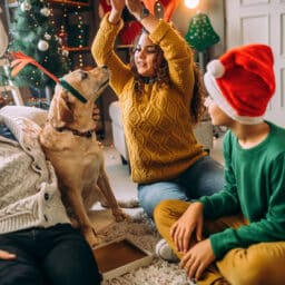 Family of three playing with their dog, wearing festive hats