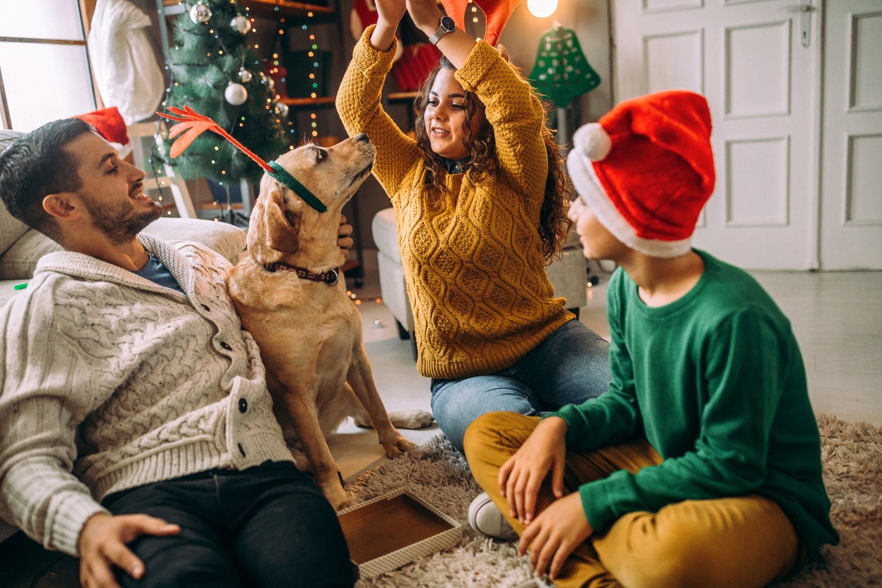 Family of three playing with their dog, wearing festive hats